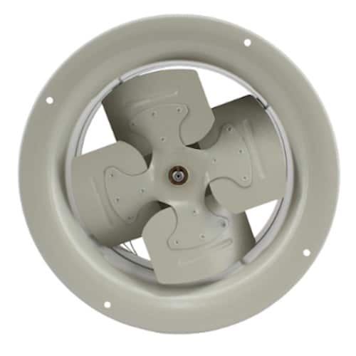 Extractor industrial 10 Pulgadas